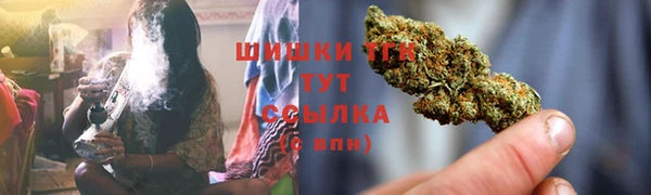 прущая мука Бородино